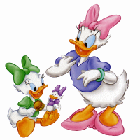 /album/margarida-daisy/a4-png2/