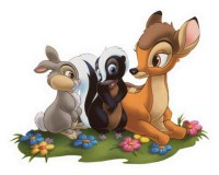 /album/bambi1/r6miqlox-jpg/