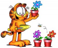 /album/garfield/a61ilv8yx-jpg/